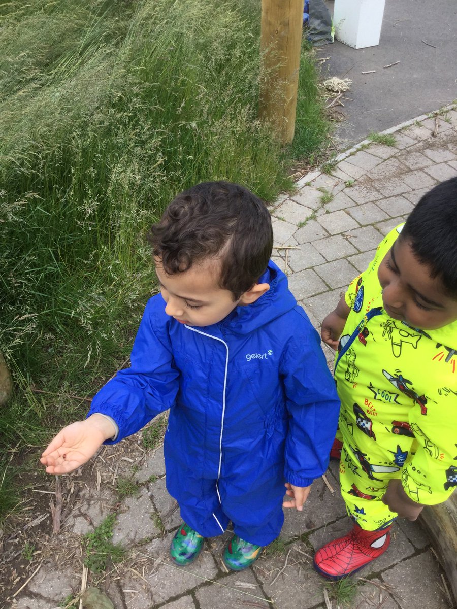 ForestScientia's tweet photo. Bug hunting was nursery’s challenge today! #forestschool #bughunt https://t.co/LxXZCI418U
