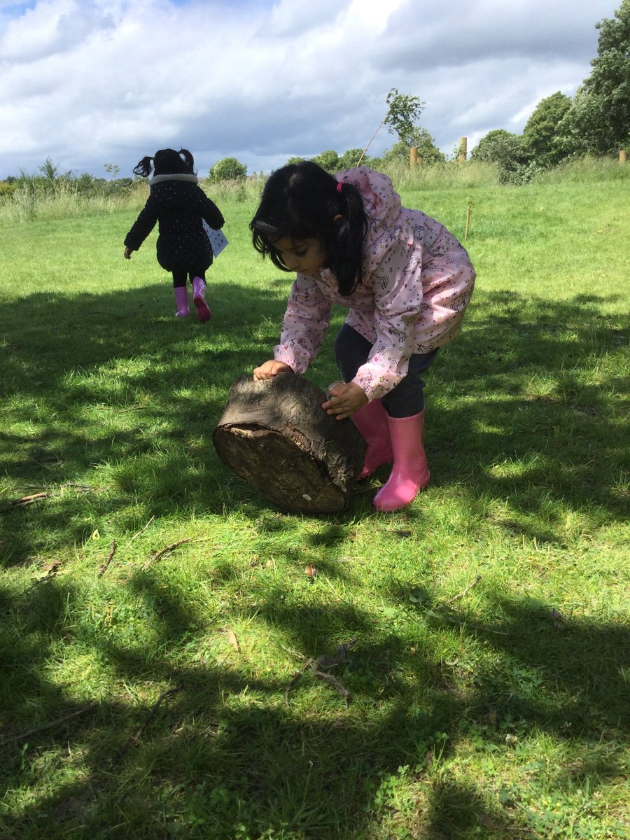 ForestScientia's tweet photo. Bug hunting was nursery’s challenge today! #forestschool #bughunt https://t.co/LxXZCI418U