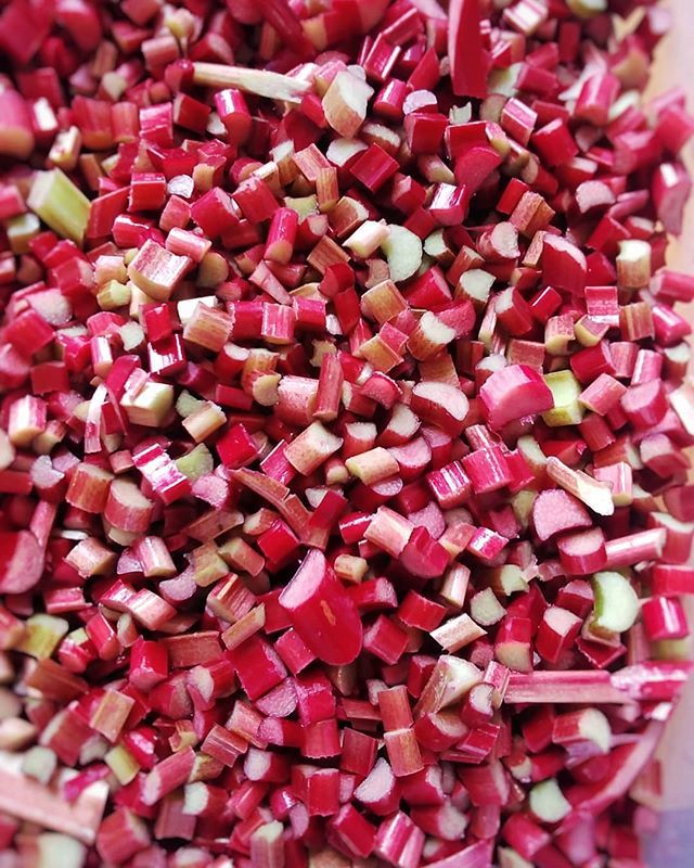 Gotta love RHUBARB!

Swing by the market this week to pick up some fresh rhubarb from our table, or grab a jar of some STRAWBERRY RHUBARB JAM and ORANGE RHUBARB JAM!

#rhubarbseason #rhubarblove #iloverhubarb bit.ly/2WOJ7P5