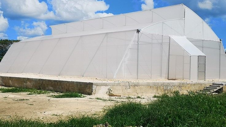 We recently spoke with <a href="/GreenStripeNat/">GreenStripeNaturals</a> Founder Wayne Isaacs, whose business is on the cusp of Jamaica's medical cannabis export market. Here, Isaacs discusses the international partnership he forged to enter the market, his business strategies and more: buff.ly/2KPqfrV