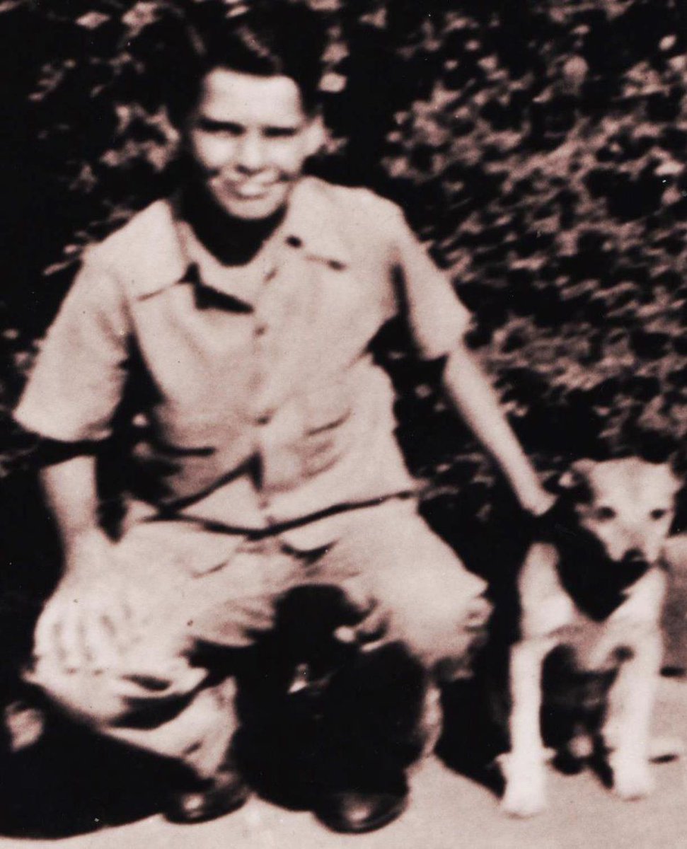 Gigi Garner honors her late father with James Garner Animal Rescue Fund