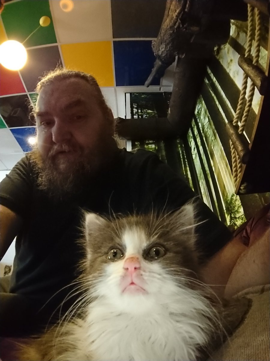 Henoir99's tweet photo. Beans and Toast @KittyCafeUK1 Nottingham https://t.co/LLCs84Woqp