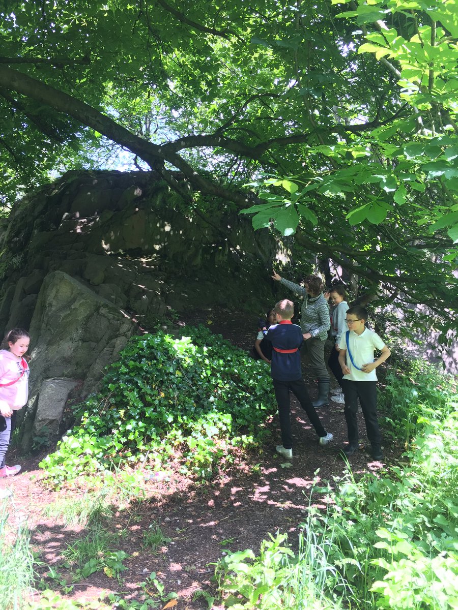 MissNichols20's tweet photo. June’s right of the month is about the right to play and the right to rest. P6 sure did love their time playing in the woods today! They were so creative coming up with Jacobite and Redcoat games to go along with this terms topic. Thank you Grace for this adventure! https://t.co/49nOxK2V8p