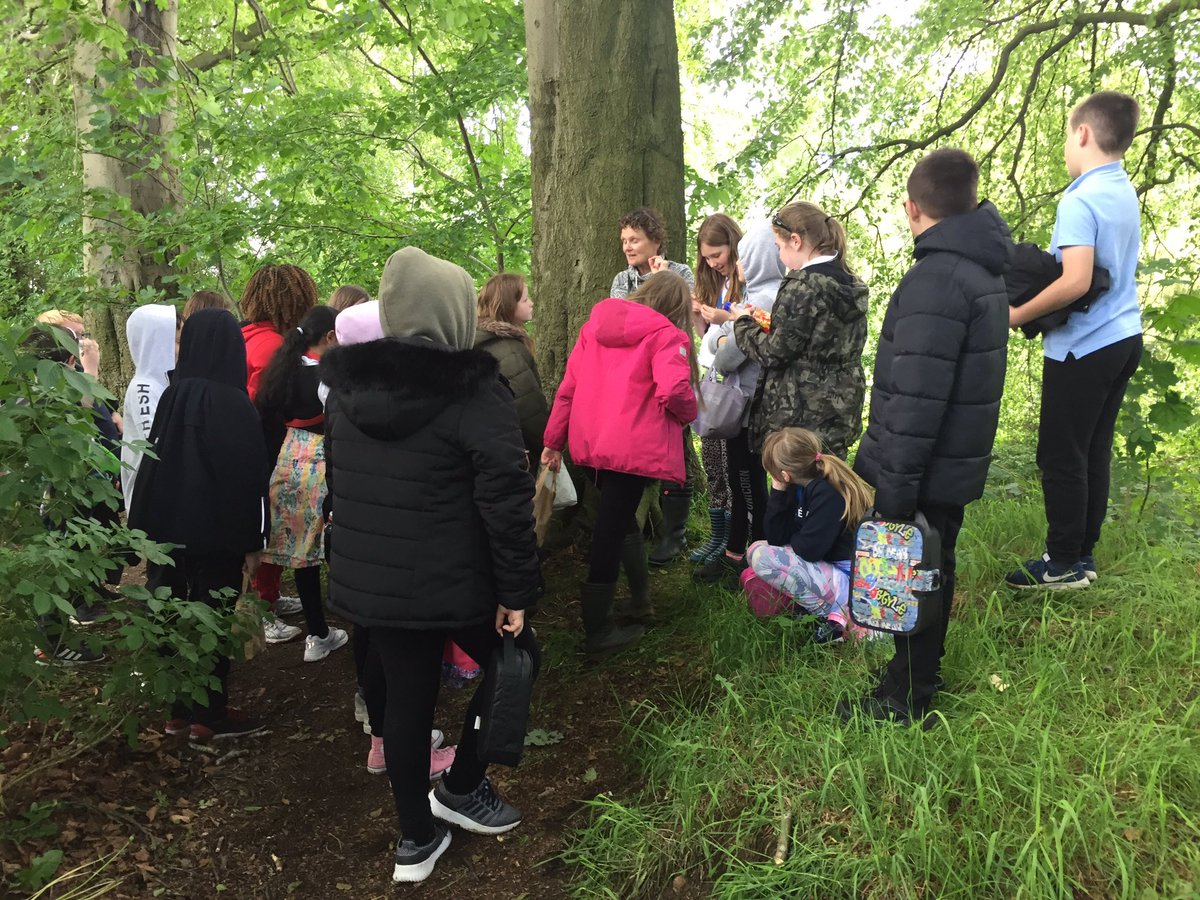MissNichols20's tweet photo. June’s right of the month is about the right to play and the right to rest. P6 sure did love their time playing in the woods today! They were so creative coming up with Jacobite and Redcoat games to go along with this terms topic. Thank you Grace for this adventure! https://t.co/49nOxK2V8p