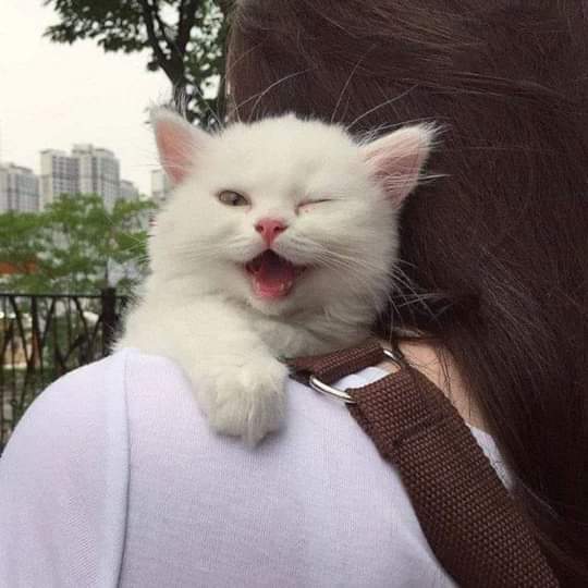 toland_sam's tweet photo. My mommy love me too much 💕💕💕 https://t.co/EtKXa7clZ1