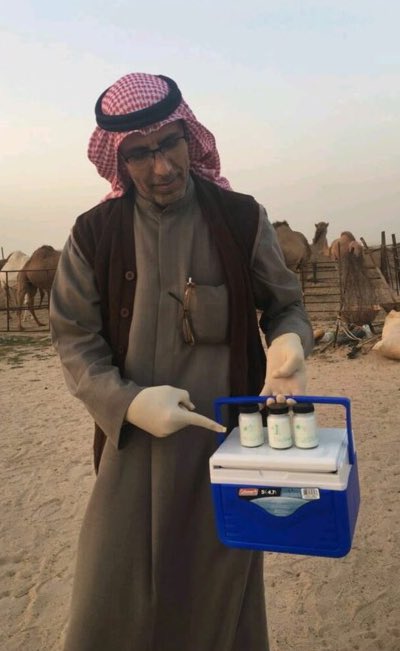 Al3wazim's tweet photo. الاخ/ محمد فراج السبيعي (ابوعلي)
جزاه الله خير  يوزع حليب ووزر الابل لمرضى السرطان مجاناً لوجه الله ومن ماله الخاص دون دعم من جهة او هيئة فله منا كل احترام وتقدير والله يكتب له الاجر  
للتواصل : 99047452 https://t.co/7OaqwZTjqO
