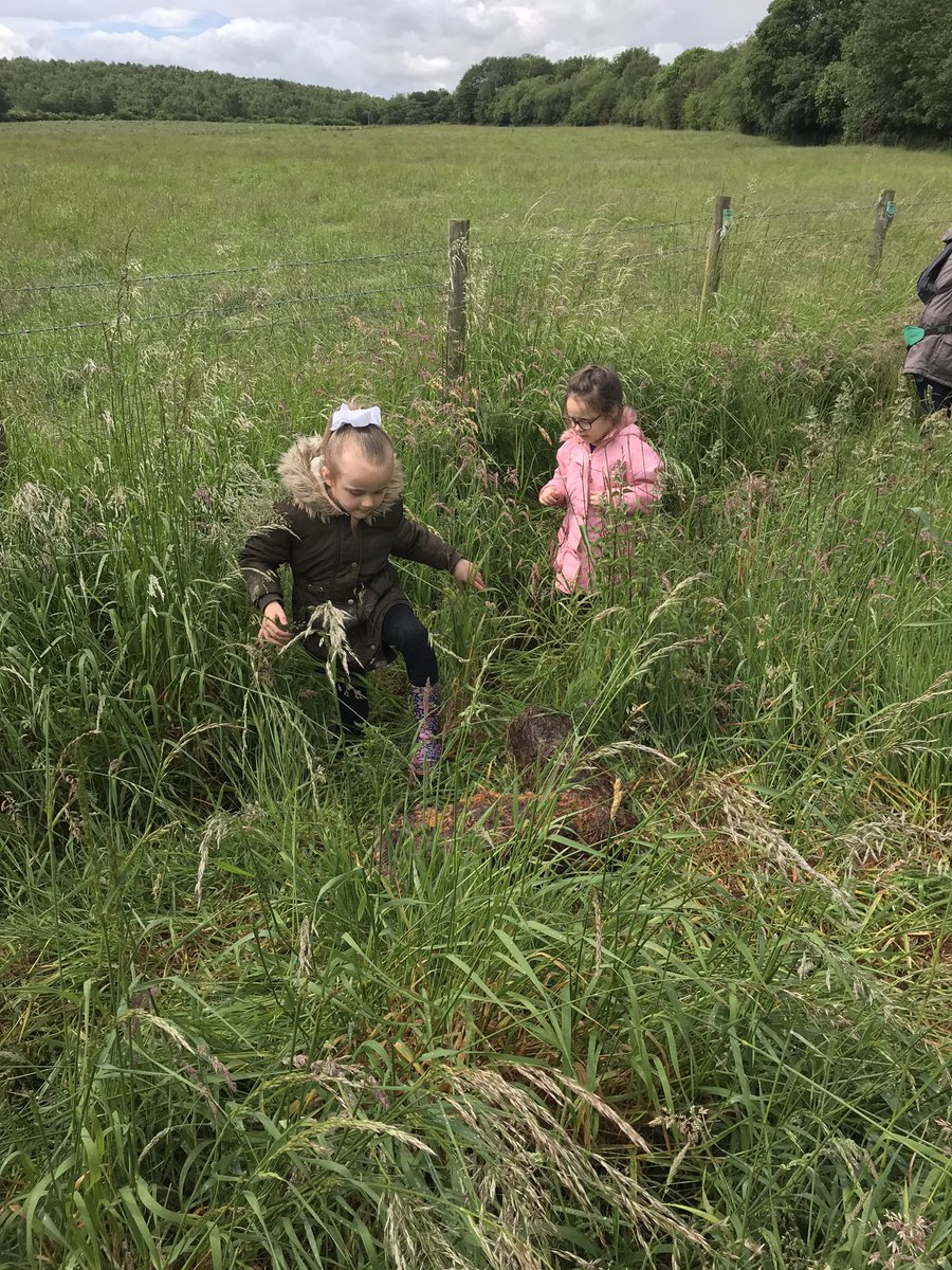 StAidansRecpt's tweet photo. Bug hunting at The Woodland Hideout. We’ve had a brilliant day https://t.co/PcfiTiWdn6