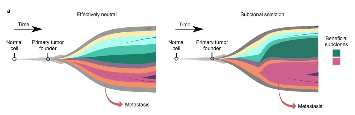 Eric Topol tweet media