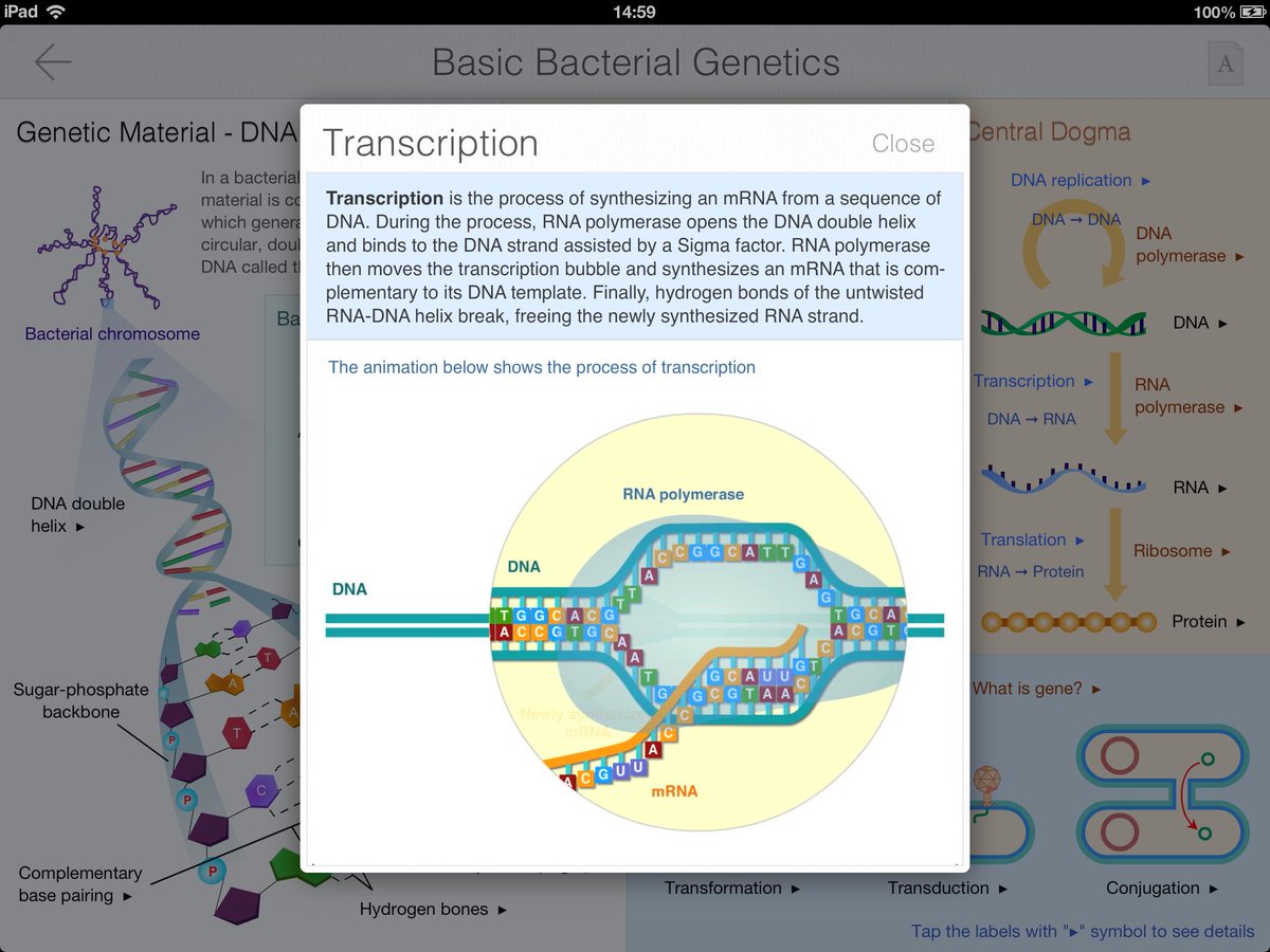 TouchApp_uk's tweet photo. #iPadschool #STEM #Ipadapp #Bacteria Guide #bioedu https://t.co/DFH9KULc62 https://t.co/rCeZXXNmLj