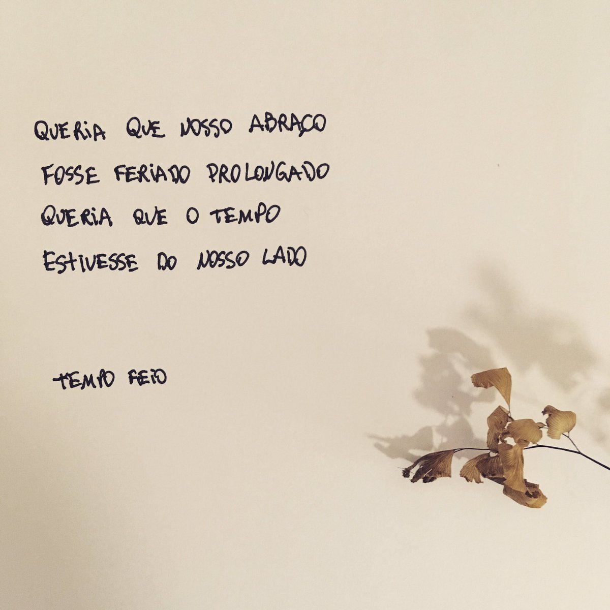 otempofeio's tweet photo. https://t.co/OOCzLHcXZY