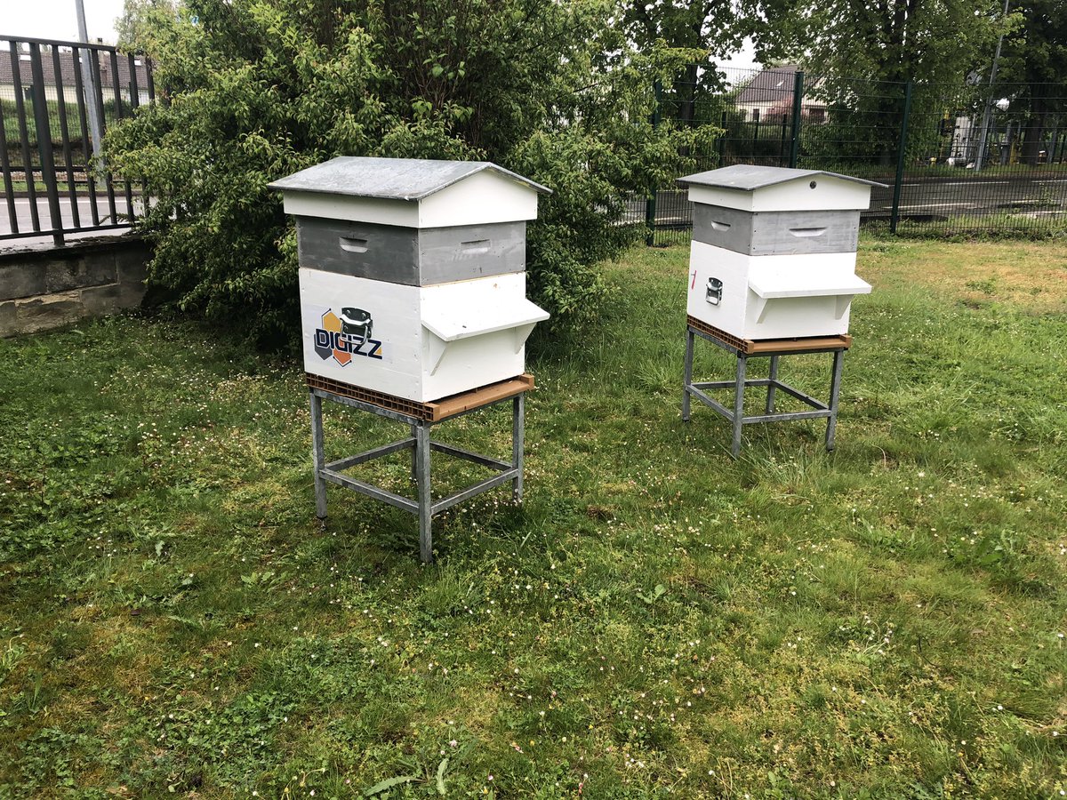 digizz_'s tweet photo. #InRuche chez digizz, ce n’est pas que notre ruche virtuelle ! On observe de près et h24 les abeilles https://t.co/Lpns6OiVV0