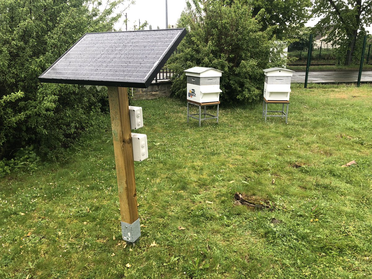 digizz_'s tweet photo. #InRuche chez digizz, ce n’est pas que notre ruche virtuelle ! On observe de près et h24 les abeilles https://t.co/Lpns6OiVV0