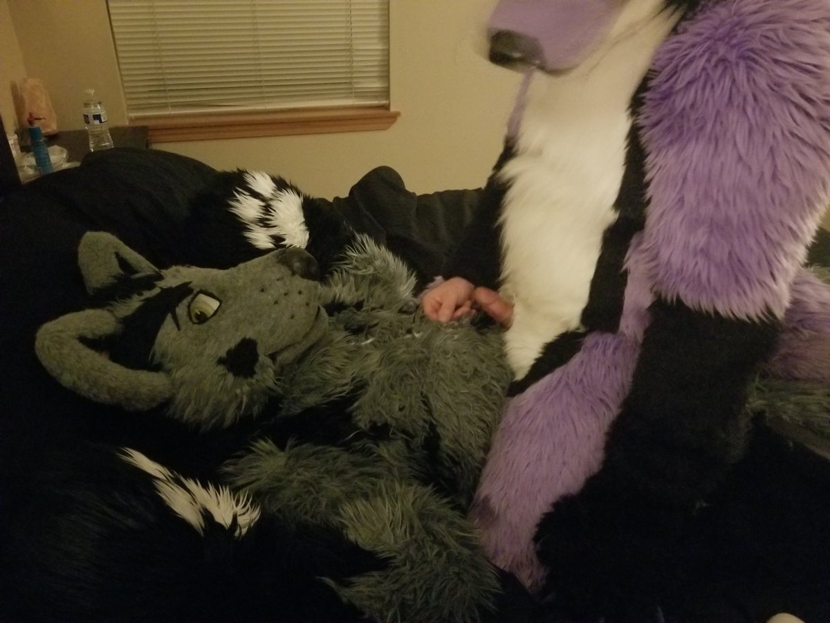 FucKitFox's tweet photo. #MurrsuitMonday https://t.co/Qo4wWFvbxt