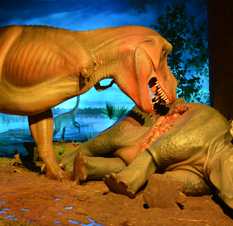 MKEPublicMuseum's tweet photo. #MPMDidYouKnow At the time of Hell Creek's installation, it was the largest diorama in North America. It was also the first diorama in the world to re-create life-sized dinosaurs in their natural habitat. https://t.co/PFUqw7JowN