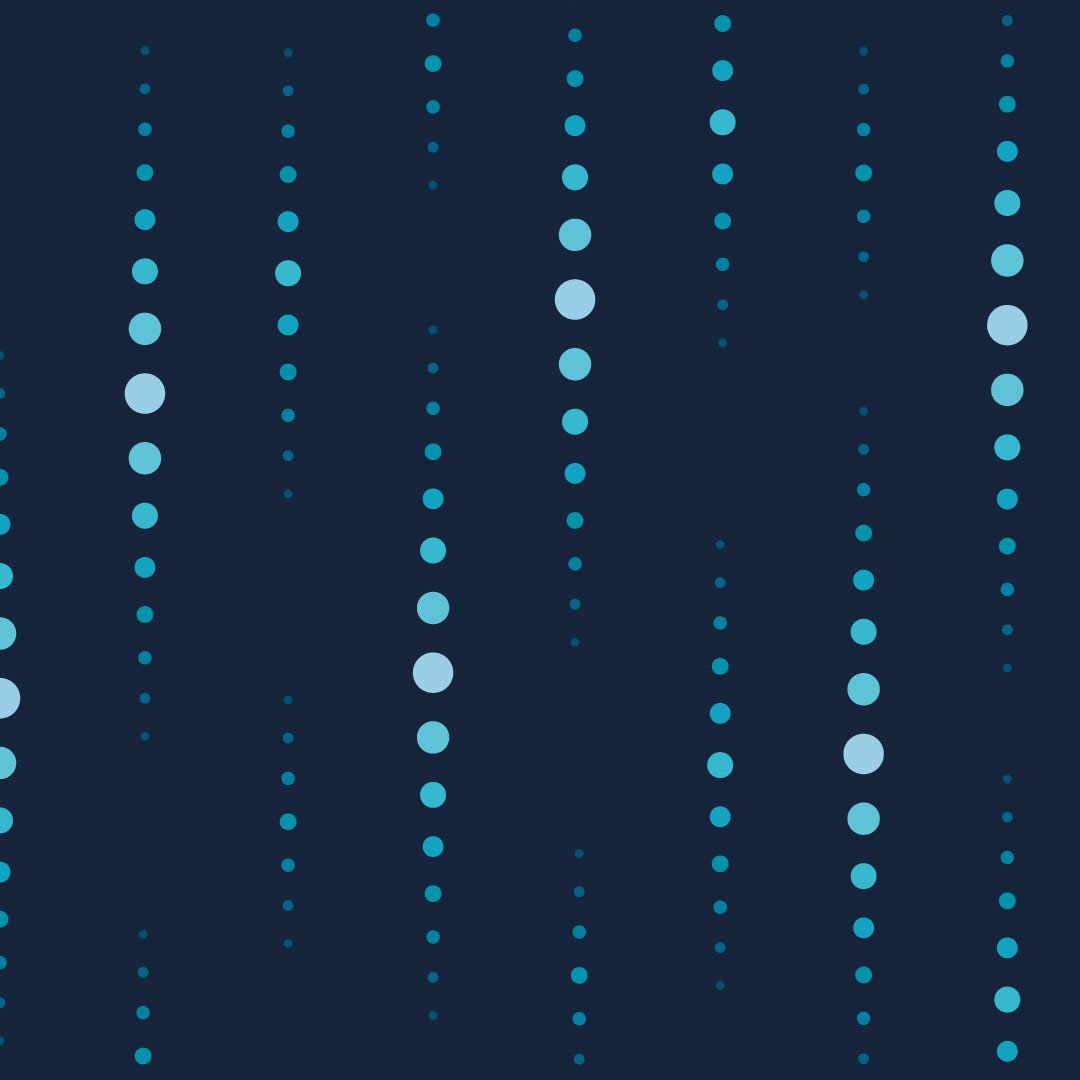 Belma Kapetanovic tweet media