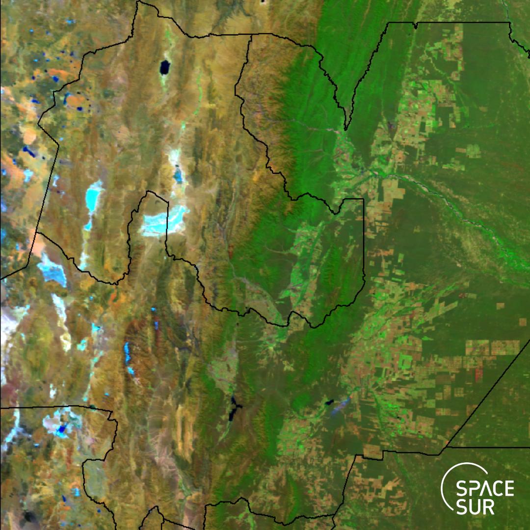 SpaceSUR tweet media