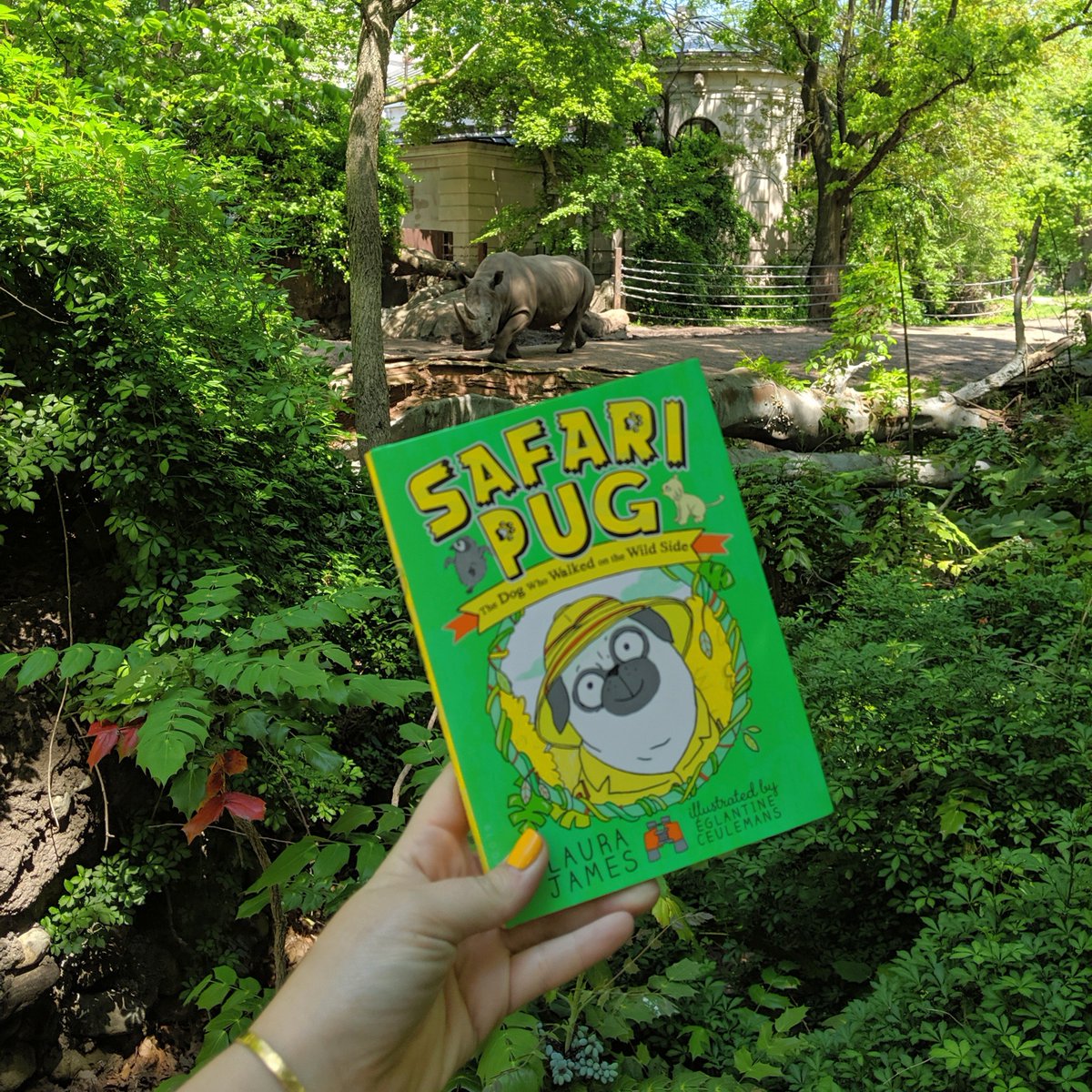 bloomsburykids's tweet photo. 🥳 The dog who walked on the wild side: SAFARI PUG an honor book in the 3rd-4th grade category for the Children's Choice Book Awards! 

Congratulations to @PugandLadyM &amp; illustrator @lelephantine!! #CCBA19 https://t.co/bB19gw5BKl