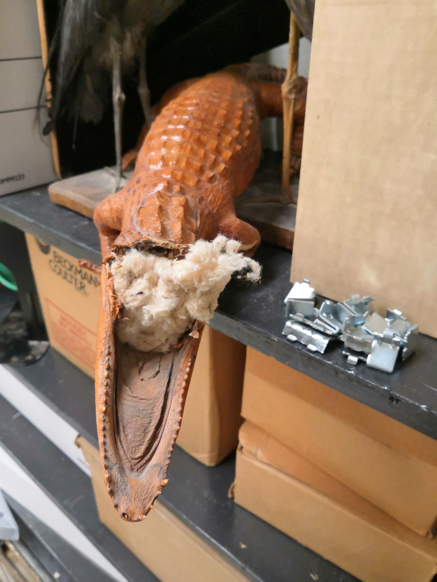 ARBioColl's tweet photo. Hoping your Monday is better than this guys! https://t.co/5oRcZC3YJd