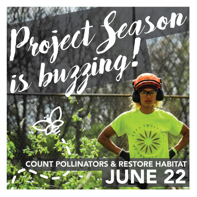 kibiorg's tweet photo. HABITAT RESTORATION: The act of ripping out invasive species that harm our ecosystem. 

Why do we do this? The #KIBees asked us to. Help celebrate the end of our Annual #PollinatorCount and make room for the plants the pollinators need! https://t.co/O1arE5UJE1