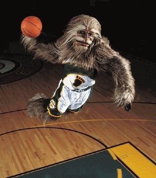 Yellowhead County tweet media