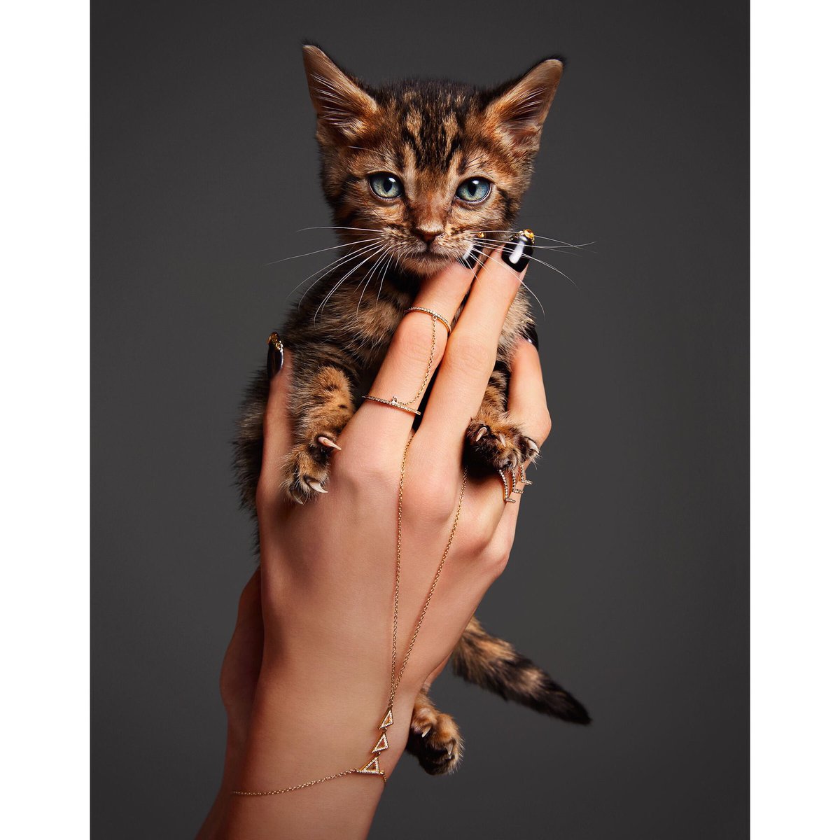 LVARepresents's tweet photo. #Photographer #JennyRisher piques our philosophical #mind with this #ultracute #nail-duo on display : is it #Nature, is it #Nurture 😻 we 💯 vote for both 🤩

https://t.co/fWCotNkGBD / #LVARepresents https://t.co/VYdQjL8paW
