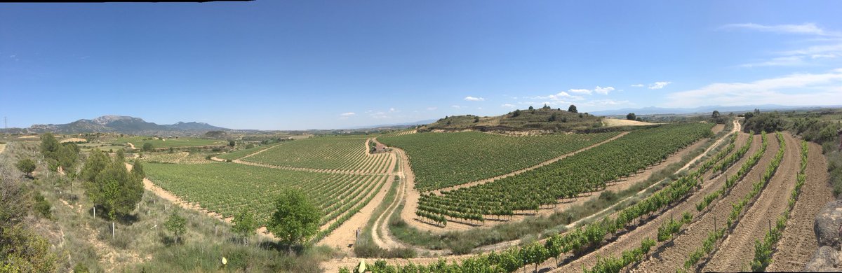 Great tasting, tour &amp; lunch <a href="/RamonBilbao/">Ramón Bilbao</a> #Rioja #Wine #Spain with <a href="/EnotriaCoe/">Enotria&Coe</a>