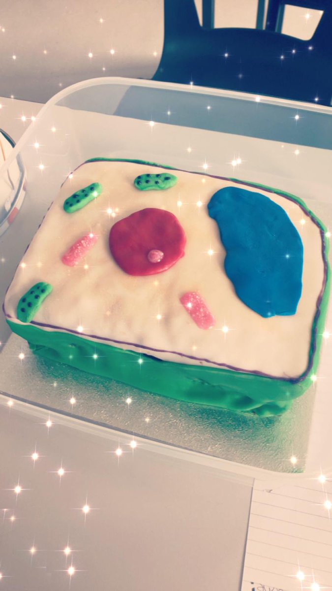 EHSBioDepart's tweet image. 🍰 We have some creative S3 Biology bakers! #cellmodels 😋
