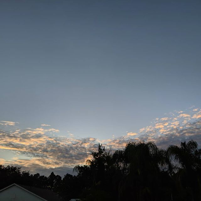 Sunrise clouds this morning. 🌄
.
.
#sunrise #sunrisecolors #clouds #sky #morningsky #morning #teampixel #pixel3xl #pixelnofilter #palmtree #naturephotography #nature #naturalflorida bit.ly/2WJYrYh