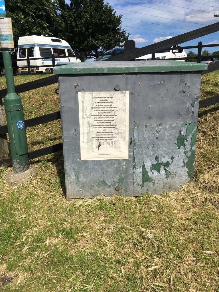 Save Lime Tree Avenue E17  Threatened by LBWF (Borough of Culture) #PoetryAsAction ⁦<a href="/RobGMacfarlane/">Robert Macfarlane</a>⁩ ⁦<a href="/stellacreasy/">stellacreasy</a>⁩ ⁦<a href="/E17ArtTrail/">E17 Art Trail</a>⁩ ⁦@WFculture19⁩ #ReadAllAboutIt