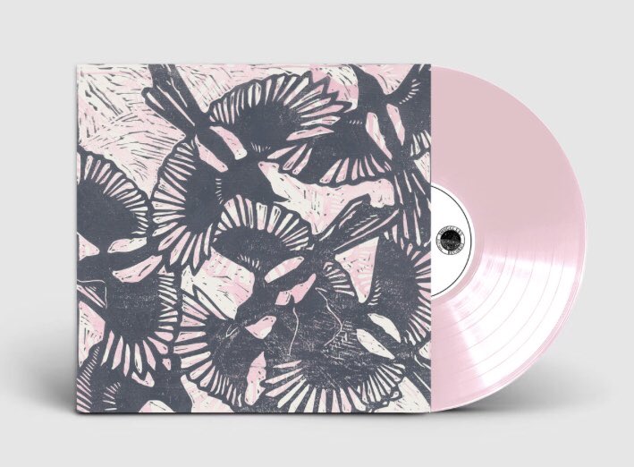 SmugglersRecord Shop (@smugglersshop) on Twitter photo . <a href="/Cocoslovers/">Cocos Lovers</a> have announced their long awaited 4th album - ‘Everything We Hold In Hope’
Our August 23rd on <a href="/smugglersmusic/">Smugglers Records</a>
Pre-Order Limited Pink Vinyl + CD with us: bit.ly/2Zu3Api . <a href="/Cocoslovers/">Cocos Lovers</a> have announced their long awaited 4th album - ‘Everything We Hold In Hope’
Our August 23rd on <a href="/smugglersmusic/">Smugglers Records</a>
Pre-Order Limited Pink Vinyl + CD with us: bit.ly/2Zu3Api