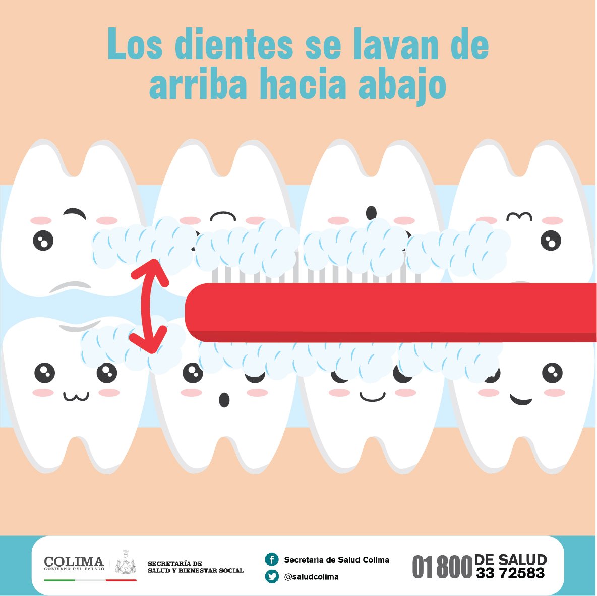 salud_colima's tweet photo. Para una sonrisa sana lava tus dientes 3 veces al día, los frontales deben lavarse de arriba hacia abajo. https://t.co/8mqxVpFILu