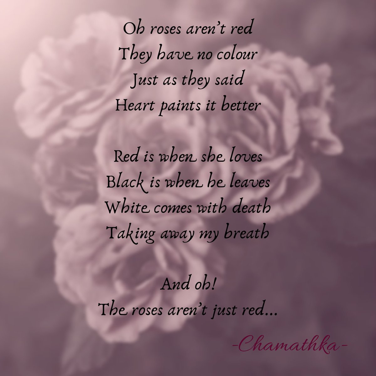 DeChamathka's tweet photo. #roses #romance #abundance #death #red #black #white https://t.co/xluI0wza6i