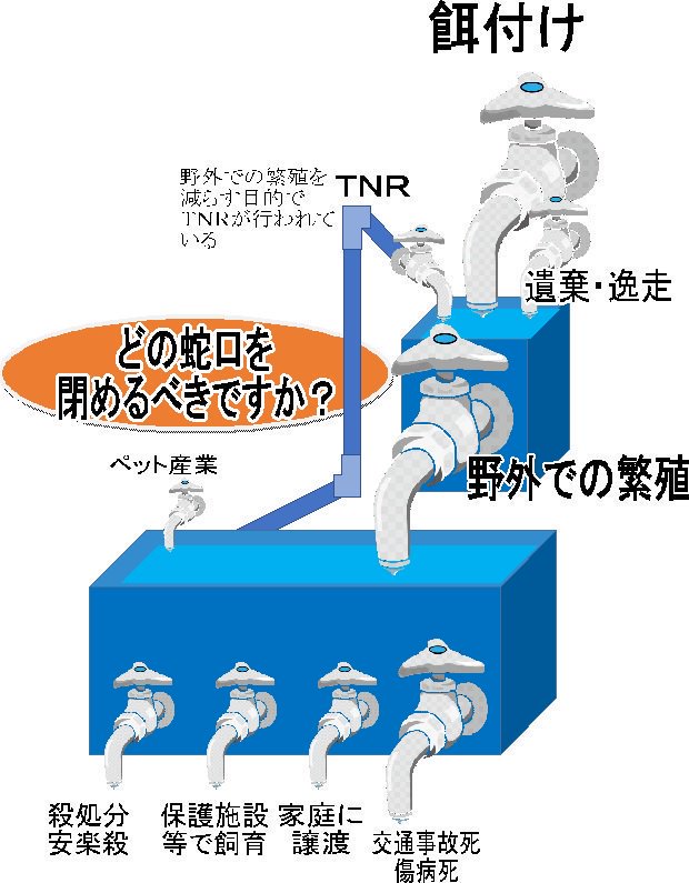 O Xrhsths Nagaoka Sun Sto Twitter 蛇口の絵に不満があるんです 蛇口の大きさって話題にならないですよね というもやもやをwordにぶつけた絵です
