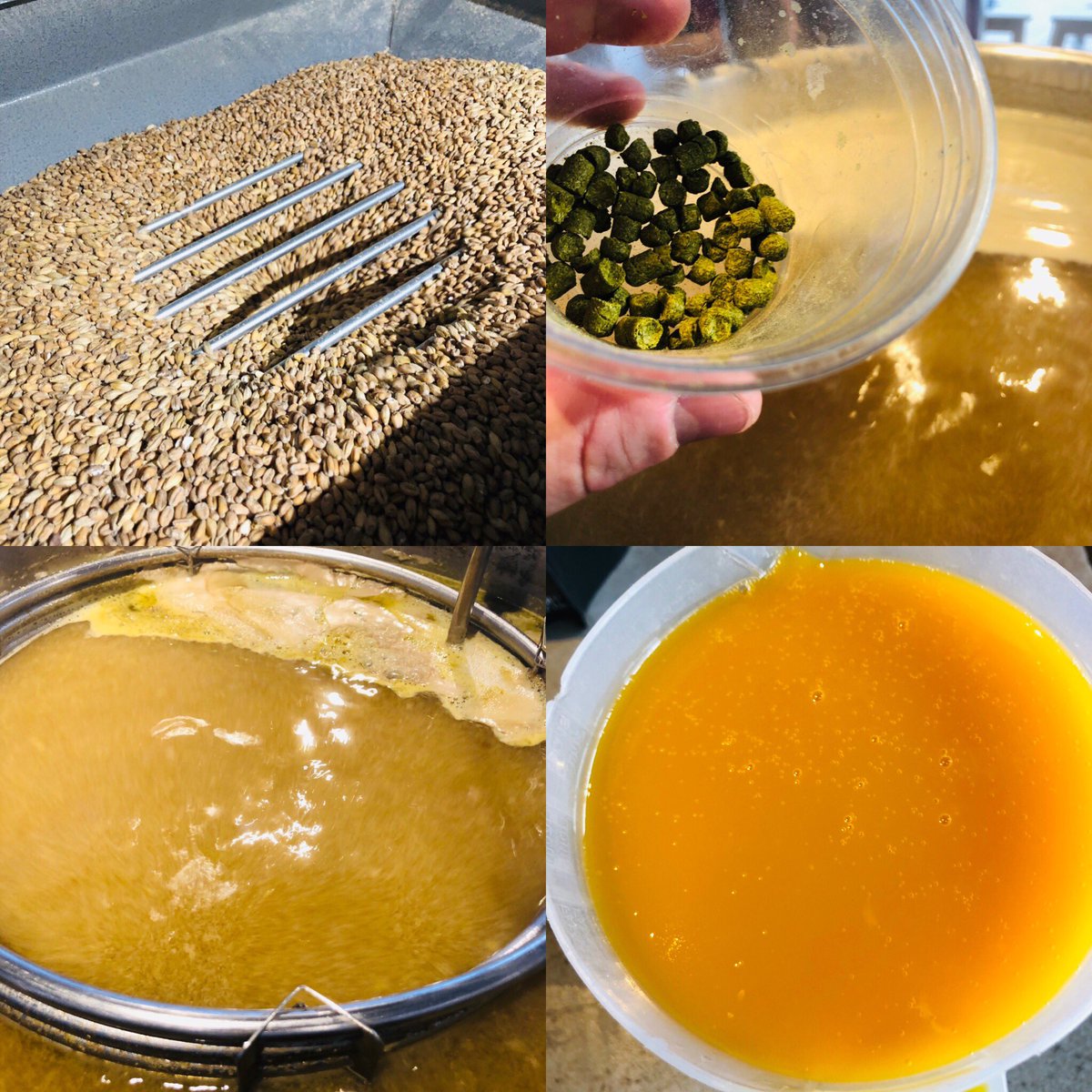 BrewWolf's tweet photo. Brassage de la Passion Wolf @BrewWolf #BrewWolf #passionfruit #whiteIPA #homebrew #brewyourown #brewing #brewingbeer #brassage #brassam #beerporn #brewporn #craftbeer #beergeek #beerlover #hoppyhour #beeroclock #biere #biereartisanale #instabeer @brewunique #BrewUnique https://t.co/NGZdZbV2jV