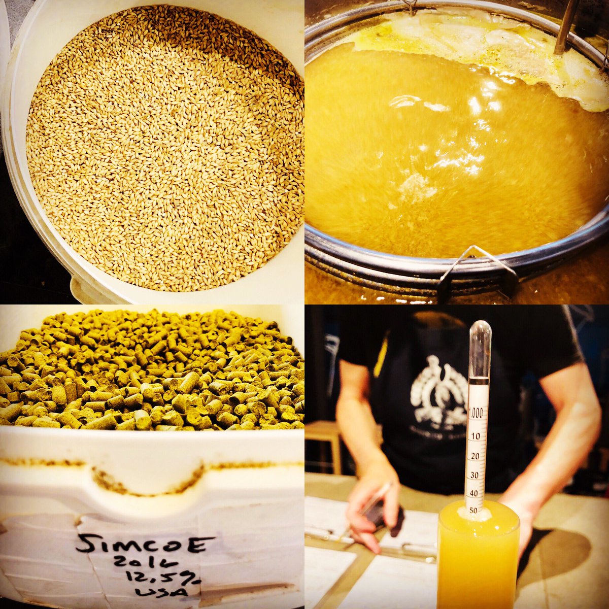 BrewWolf's tweet photo. Brassage de la Basil Wolf @BrewWolf #BrewWolf #basil #whiteIPA #homebrew #brewyourown #brewing #brewingbeer #brassage #brassam #beerporn #brewporn #craftbeer #beergeek #beerlover #hoppyhour #beeroclock #biere #biereartisanale #instabeer @brewunique #BrewUnique https://t.co/okvJZoNOyN