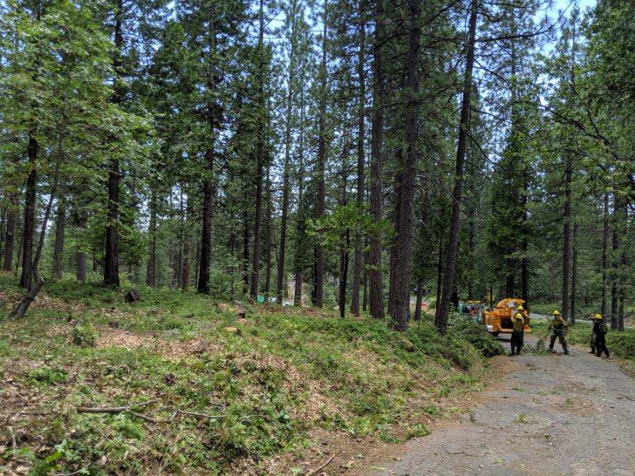 Stanislaus_NF's tweet photo. Fire resources on the Calaveras Ranger District have been busy maintaining the fuelbreak on Upper Moran Rd. This fuelbreak adds protection for the Blue Lake Springs subdivision in Arnold, CA.  #wildlandfirefighter #fireseason2019 #handcrew #enginecrew https://t.co/wJ4IFiJ2Ao