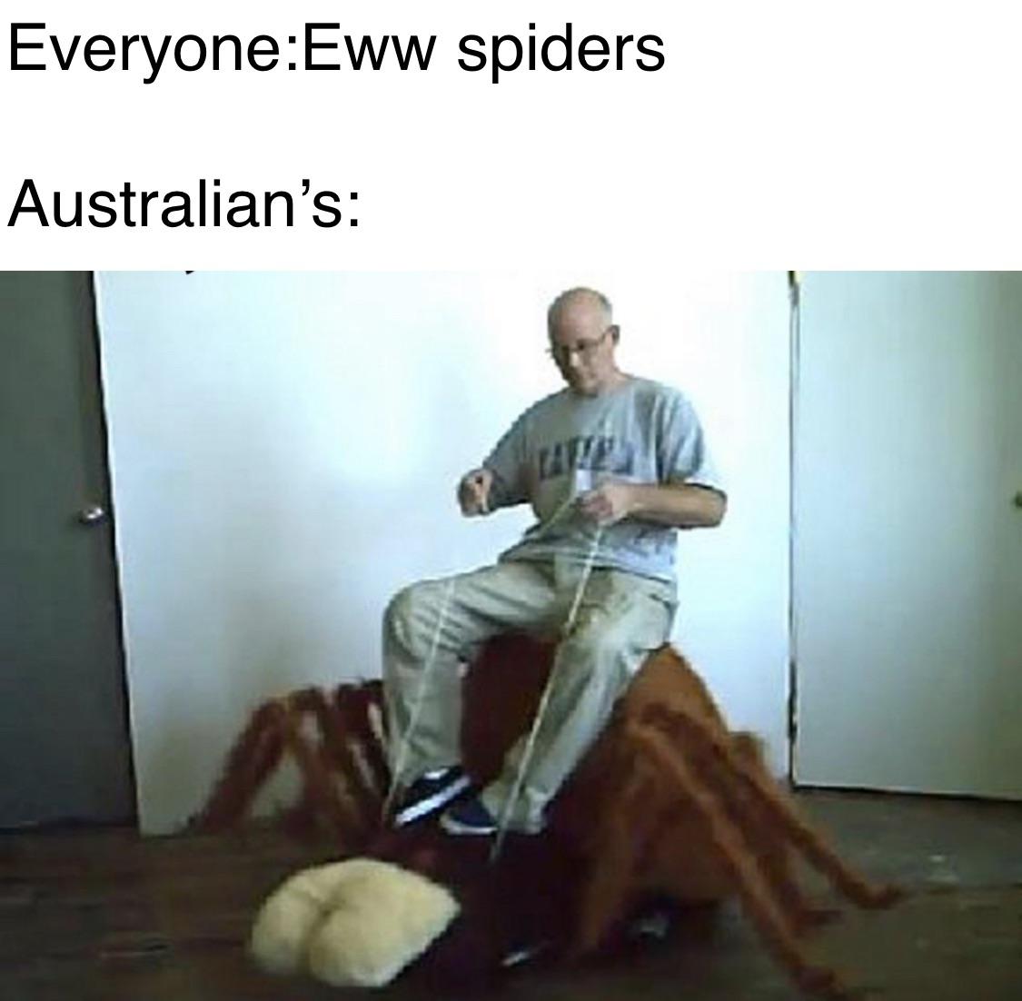 theMemesBot's tweet image. Ahhh a spider