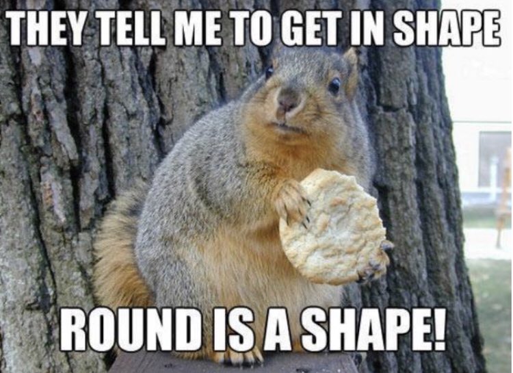 amazingraceart's tweet image. When you’ve not been to the gym in a while 🏃‍♀️😀 #ExerciseInspiration #DietPlans #getinshape #MotivationalMondays #blamingitontheweather