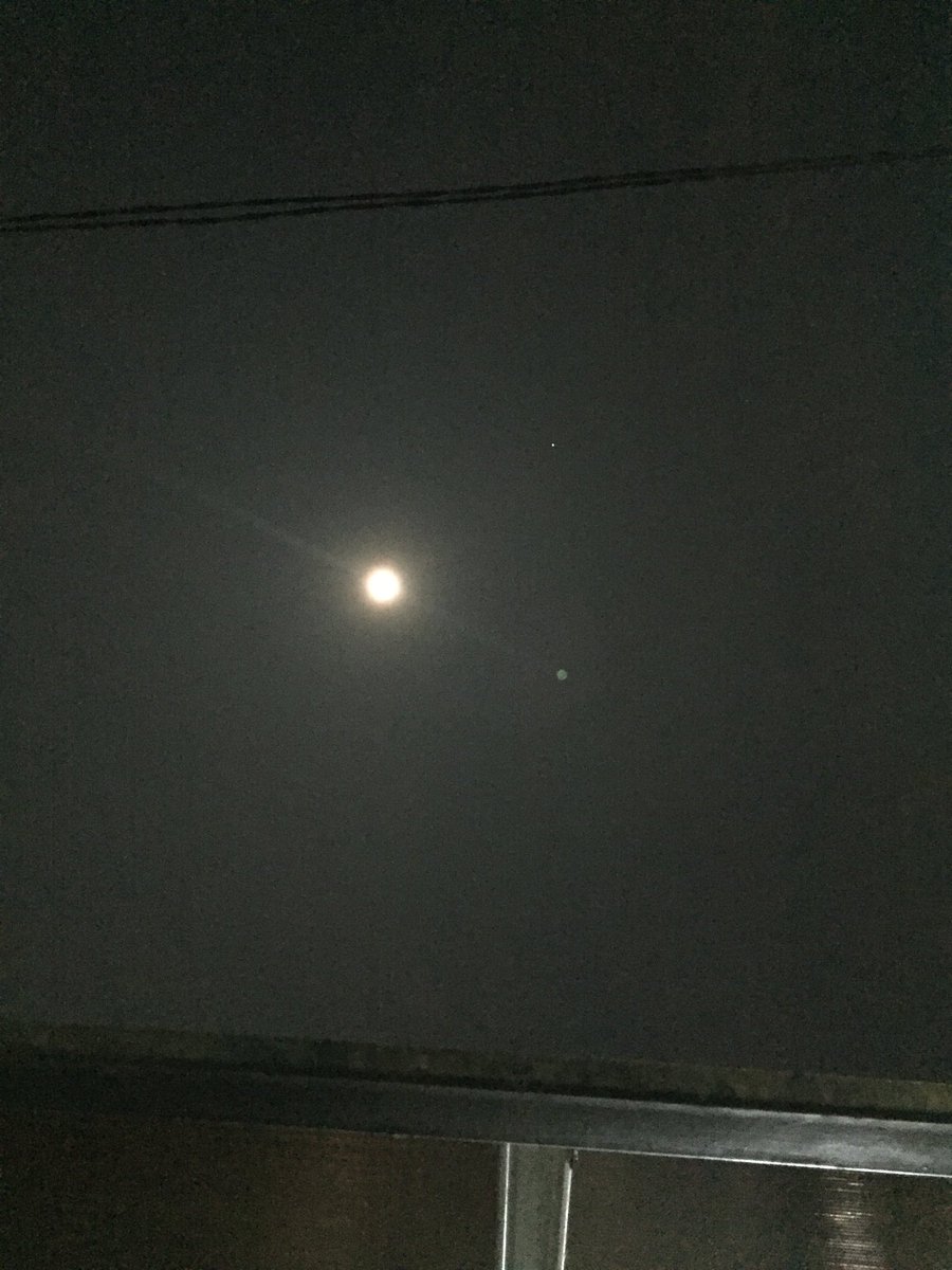 cecil mariani (@cecilmariani) on Twitter photo 