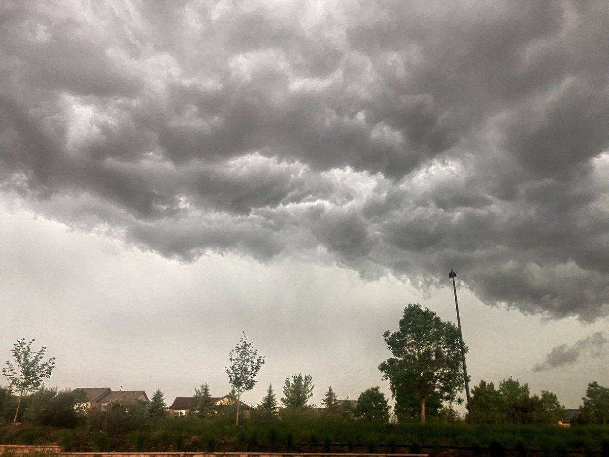 Brian Johnson Photo tweet media