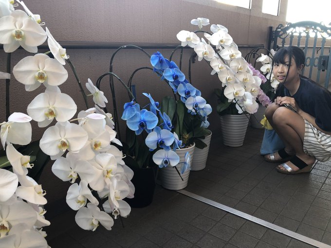 Twitterのコスプレ画像6