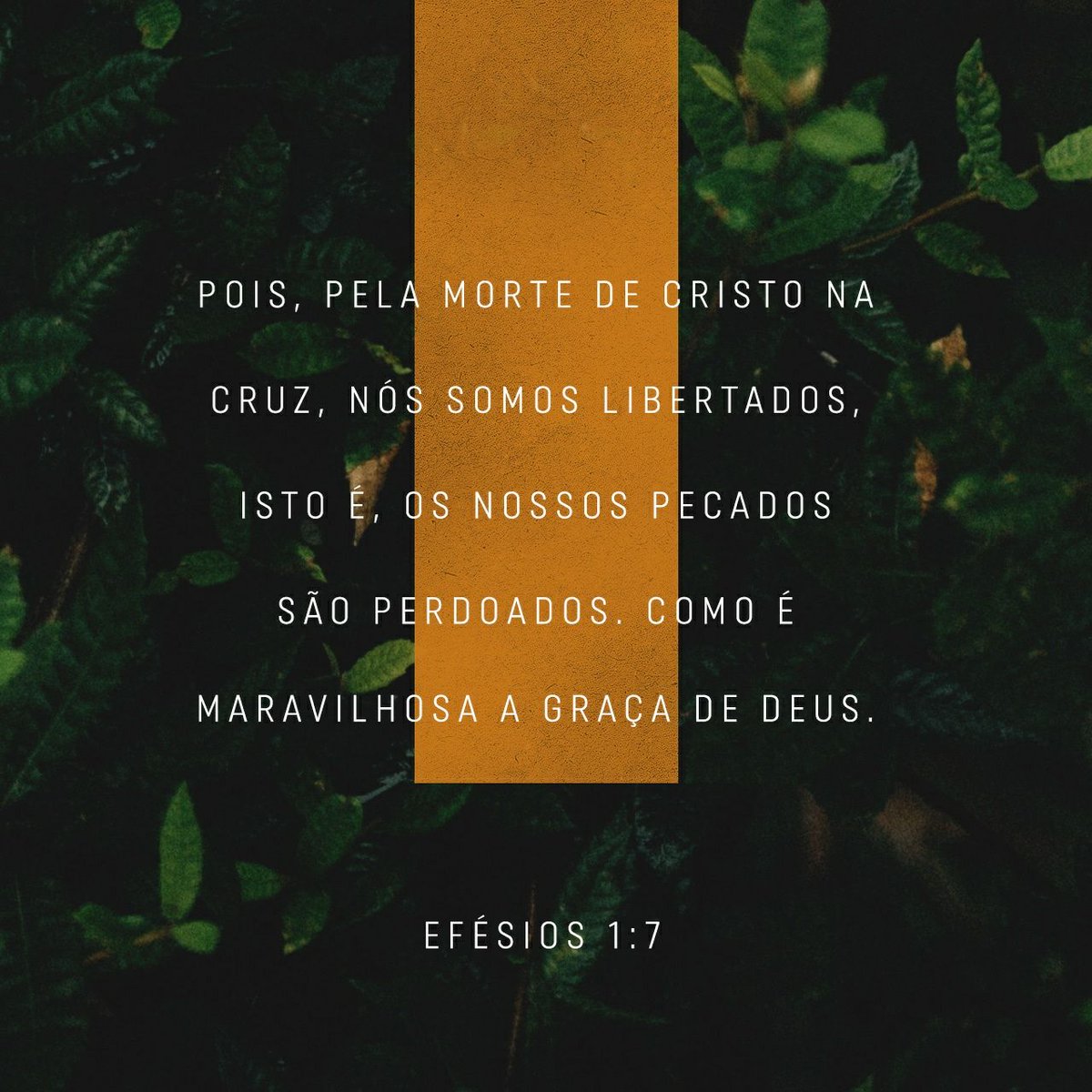 Pois, pela morte de Cristo na cruz, nós somos libertados, isto é, os nossos pecados são perdoados. Como é maravilhosa a graça de Deus.

Efésios 1:7