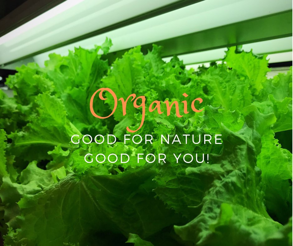 AgZeit's tweet photo. What is Organic Food?
Organic food is produced naturally, NOT using pesticides and chemical fertilizers. They aren’t modified genetically. (GMO-free)
Antioxidant Capacity
Heart Health
Immune System Boost
Better Taste
Environmental Safety
 #ecofriendly #allnatural #sustainability https://t.co/Fb7ooIFOhm