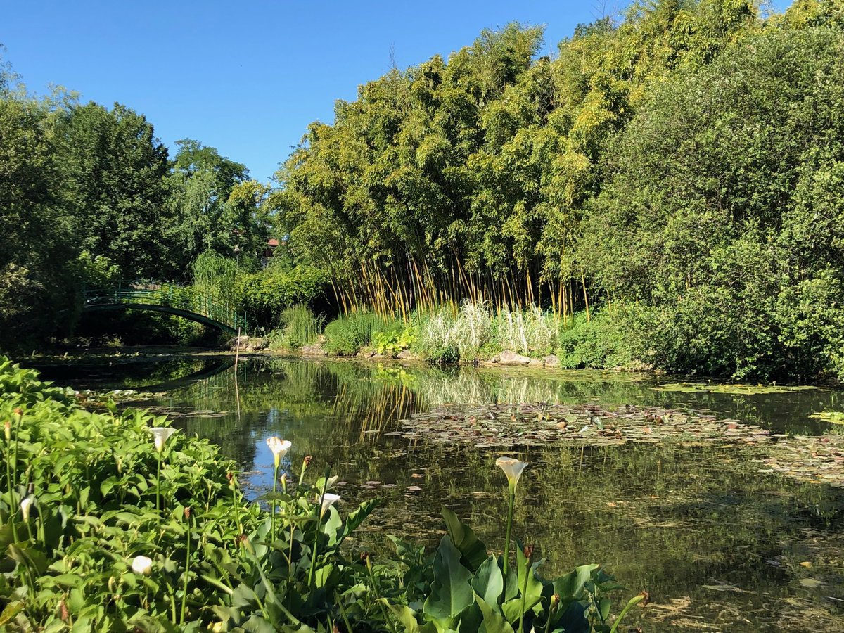 acmg54JFB's tweet photo. Monet au #Templesurlot hier dimanche https://t.co/5IzBPIXY0U
