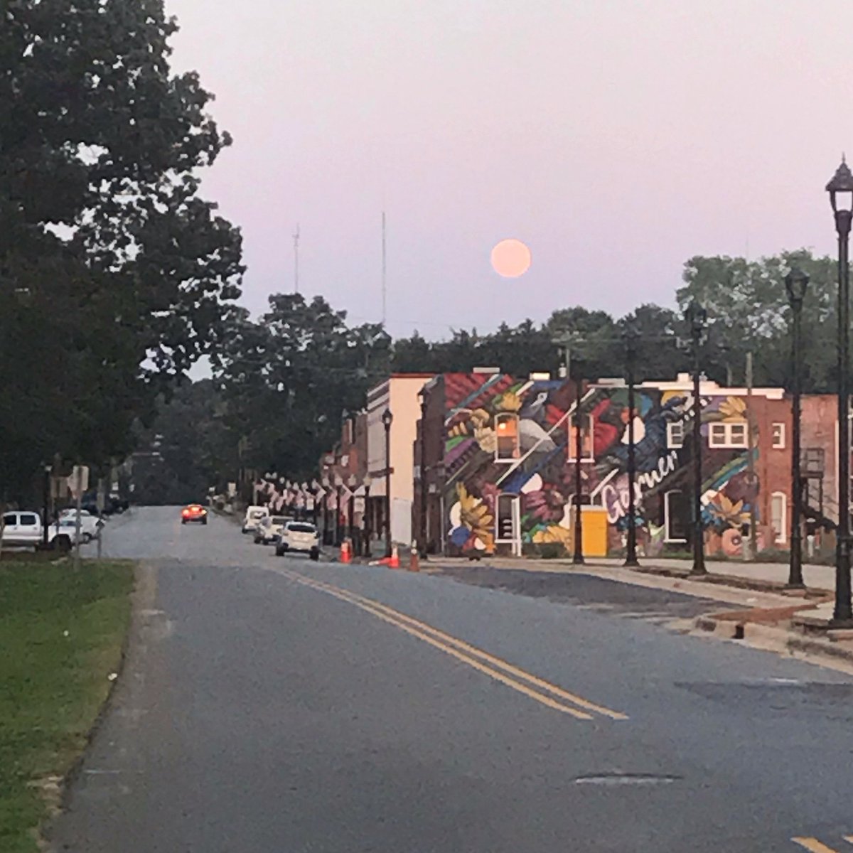 Full Bloom™ Coffee tweet media