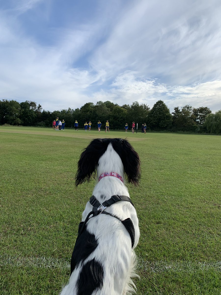 cheberlein's tweet photo. Clymping cricket club the venue tonight to watch @AngmeringSC #Bella #Springerontour https://t.co/YbYC3kE1UN
