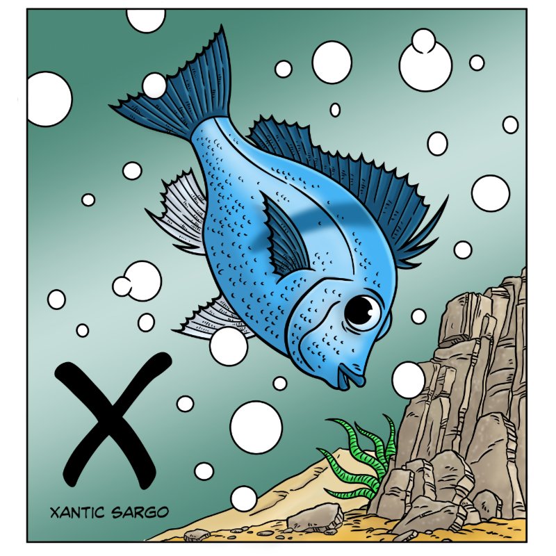 Fish Swimming In Water Drawing
