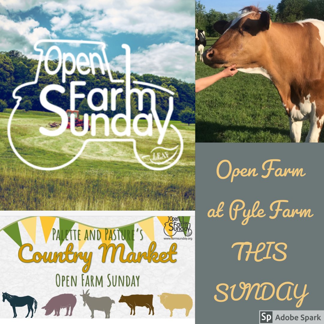 Palette and Pasture (@palette_pasture) on Twitter photo This Sunday is our Open Farm Sunday at Pyle Farm, Trudoxhill, Frome BA11 5DL. 10am to 4pm. 
————
Come along for an exciting day out on our farm. <a href="/LEAF_Farming/">LEAF</a> <a href="/RTfarmers/">Red Tractor Farmers</a> This Sunday is our Open Farm Sunday at Pyle Farm, Trudoxhill, Frome BA11 5DL. 10am to 4pm. 
————
Come along for an exciting day out on our farm. <a href="/LEAF_Farming/">LEAF</a> <a href="/RTfarmers/">Red Tractor Farmers</a>