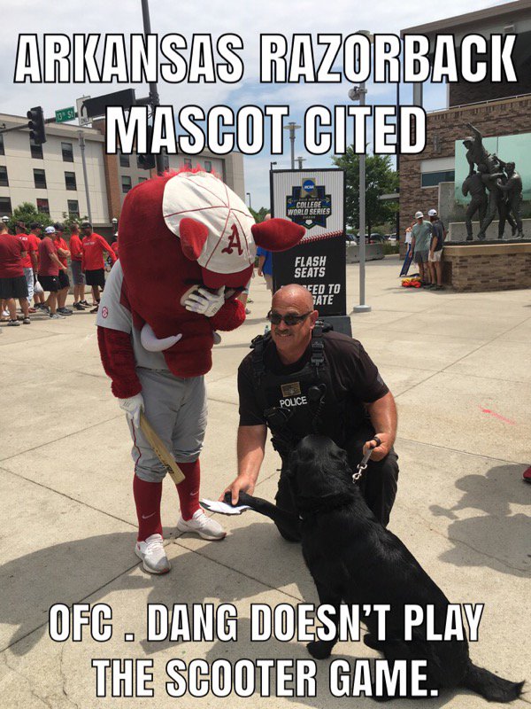 OPDCaptLeavitt's tweet photo. Despite the misspelling, #OmahaPolice Ofc DANZ doesn't care who you are - you break the law, you pay the price. Here to serve! https://t.co/Xsm3EV8u4m