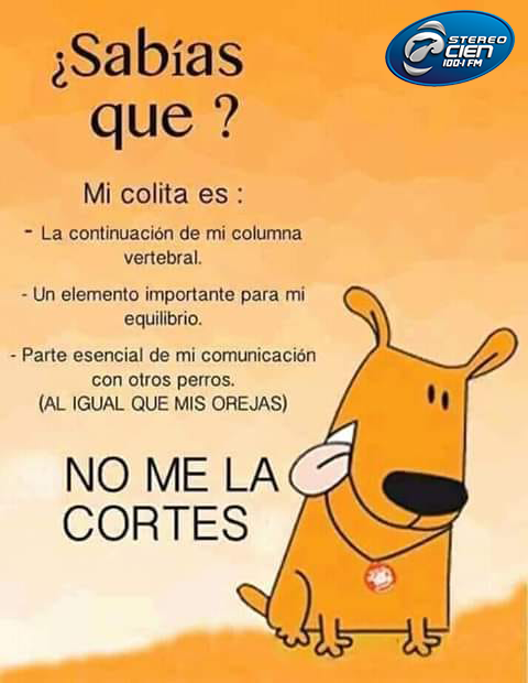 Stereo Cien Mx on Twitter: Stereo Cien Mx on Twitter: